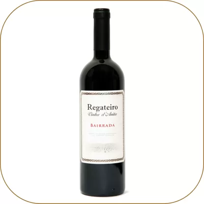 Regateiro Vinha d'Anita Tinto