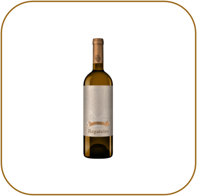 Regateiro Raízes de Família Branco