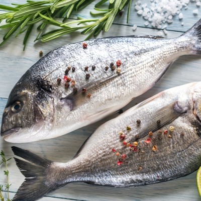 Tesoura Multiusos 19 cm