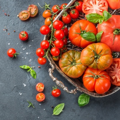 Cortador Serrilhado Cortador Serrilhado