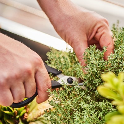 Tesoura Multiusos Tesoura Multiusos