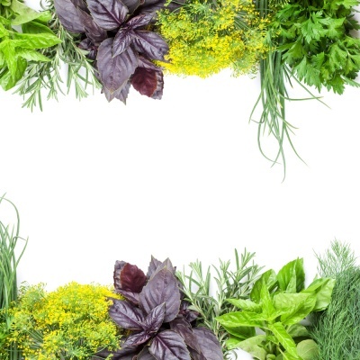 Picadora Manual de Ervas Aromáticas Picadora Manual de Ervas Aromáticas