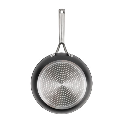 Frigideira Evolution Ø20 cm