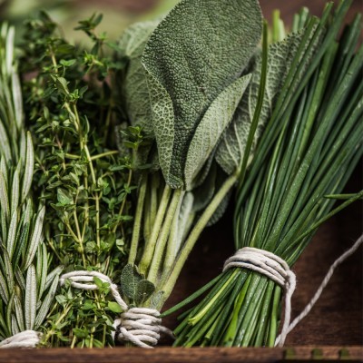 Tesoura Multiusos 21 cm