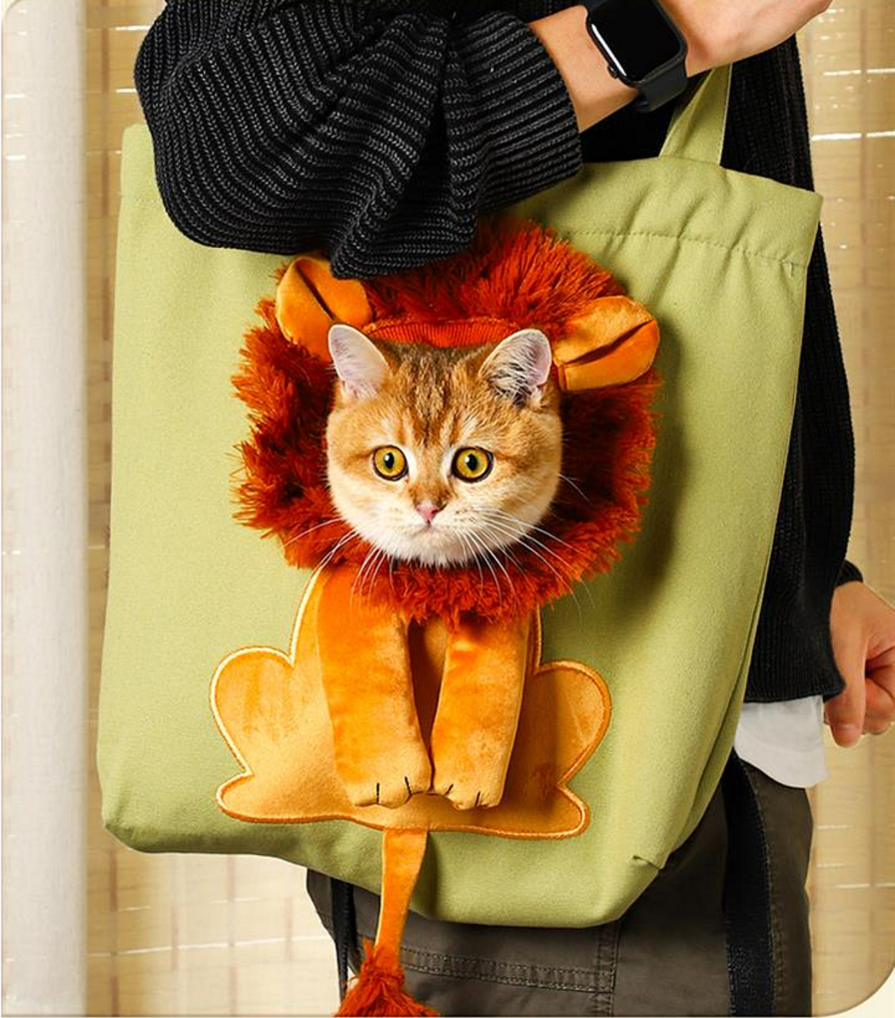 Cat Carry Bag - Um saco perfeito para o teu pet
