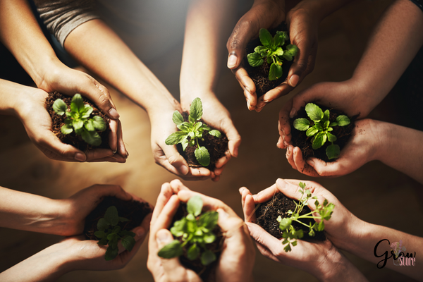 Por um mundo mais sustentável 💚 Por um mundo mais sustentável 💚