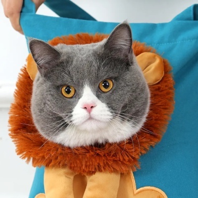 Cat Carry Bag - Um saco perfeito para o teu pet