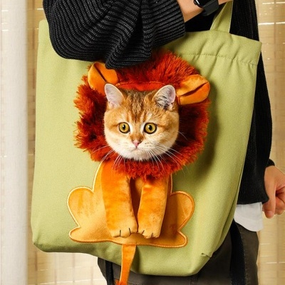 Cat Carry Bag - Um saco perfeito para o teu pet
