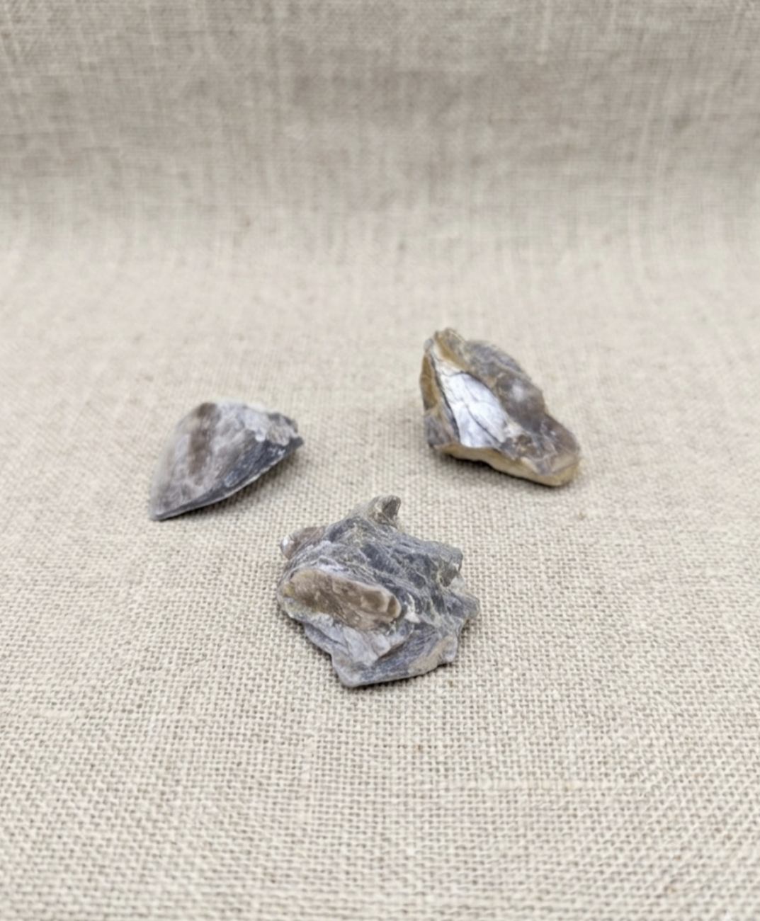 Moscovite Bruto (15/20mm)