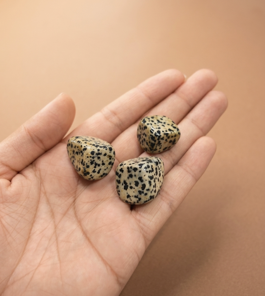 Jaspe Dalmata rolada 2,5 cms