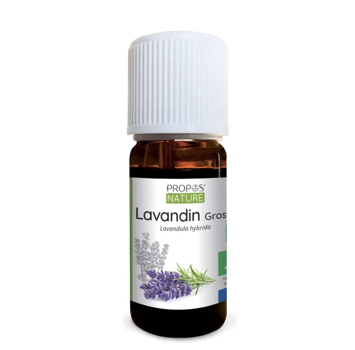 Óleo Essencial Lavanda Grosso Bio 10ml
