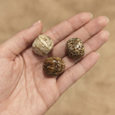 Aragonite Cristalizada (2/3 cms)