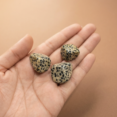 Jaspe Dalmata rolada 2,5 cms