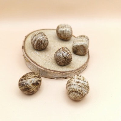 Aragonite Cristalizada (20/25mm)