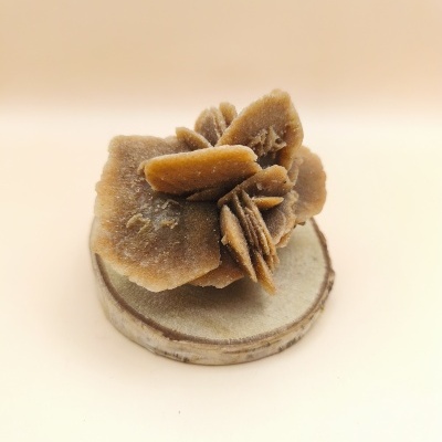 Rosa Deserto (7/8 cms)