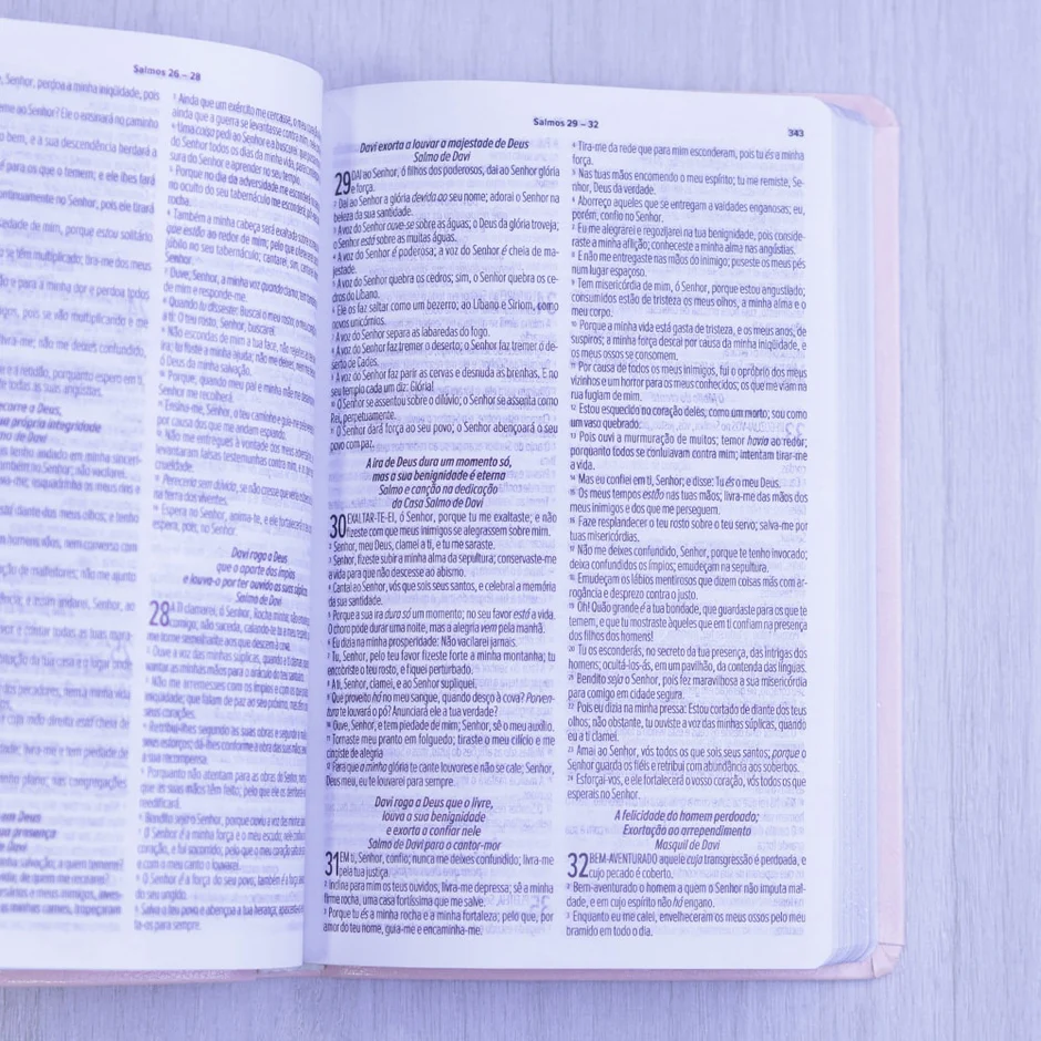 Bíblia Sagrada | ARC | Letra Normal | Capa Luxo Rosa Claro Bíblia Sagrada | ARC | Letra Normal | Capa Luxo Rosa Claro