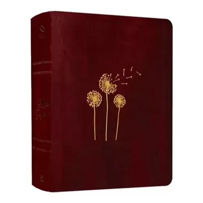 Bíblia Mulheres | Viviane Martinello