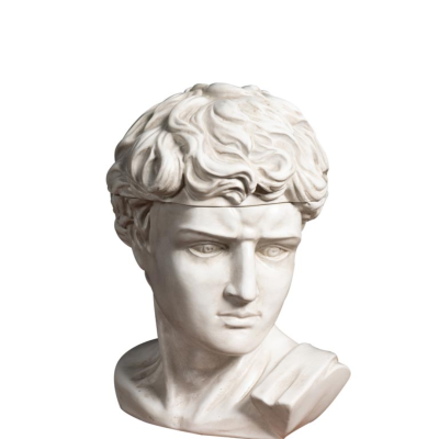 Small David Head Box