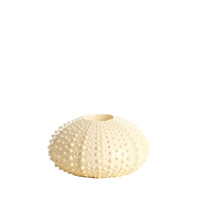 Tealight holder 15x8 cm Sea Urchin cream