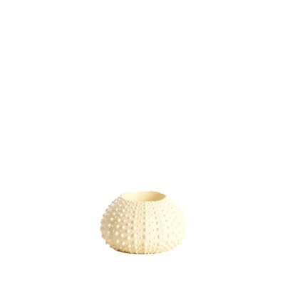 Tealight holder 9x6 cm Sea Urchin cream