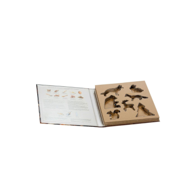 Kit de moldes de bolachas em livro com receita