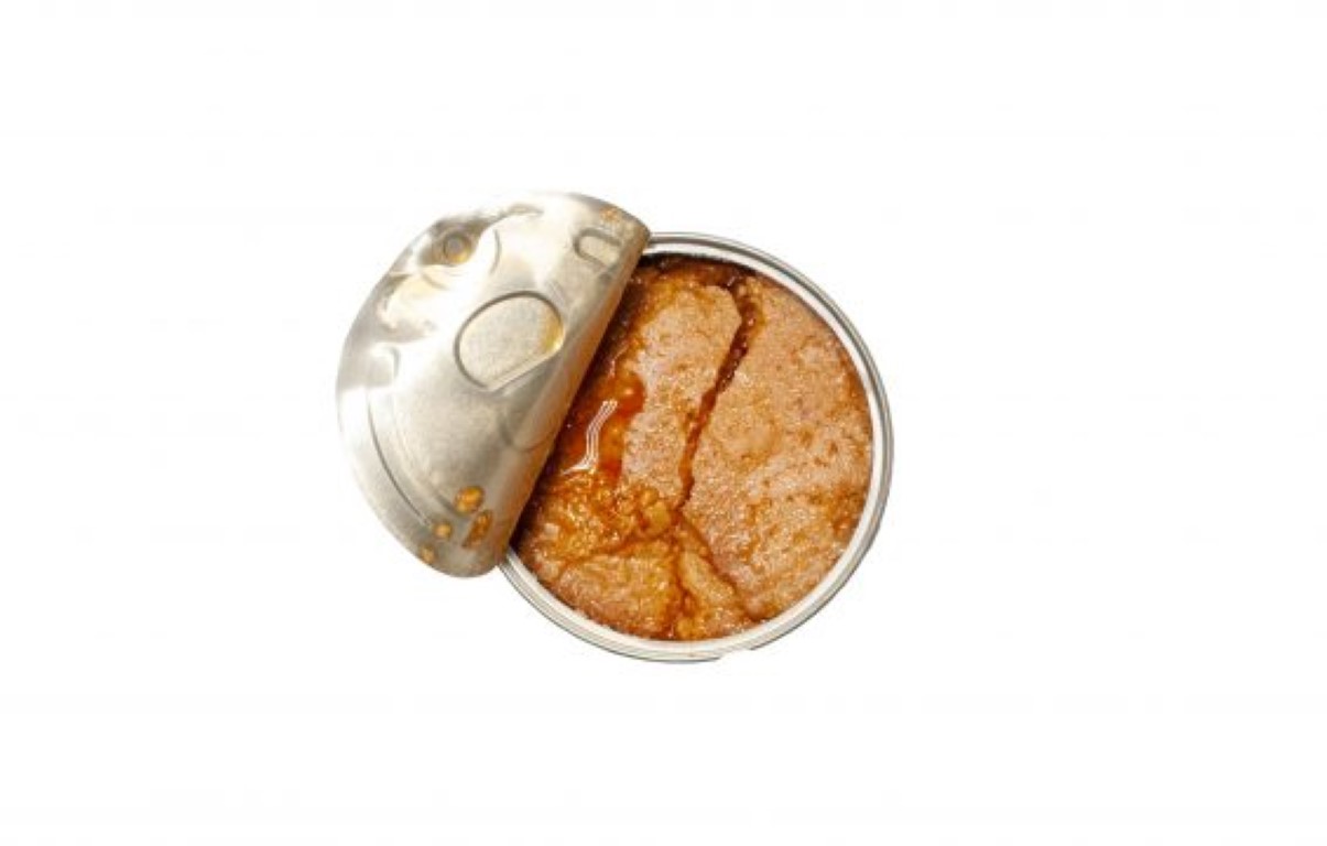 Paté Atum  - José Gourmet