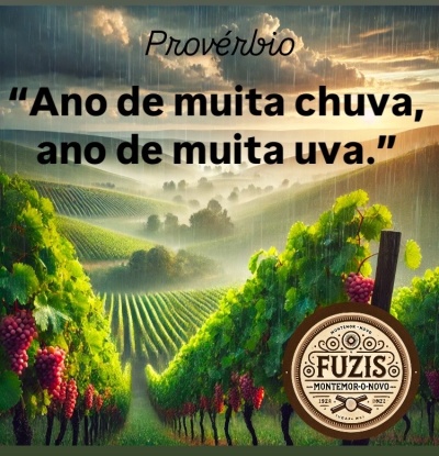 Ano de muita chuva, ano de muita uva.” 🍇☔