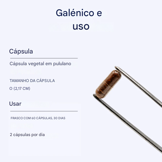 Multi27 Multivitamins