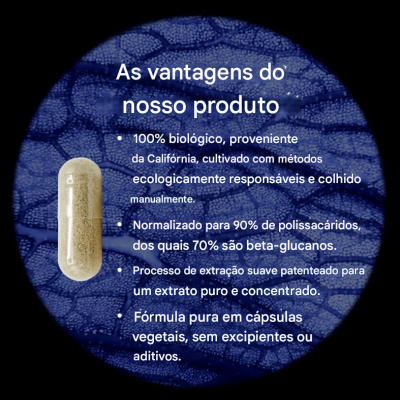 Reishi orgânico