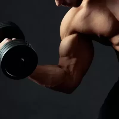 Musculação e Desporto