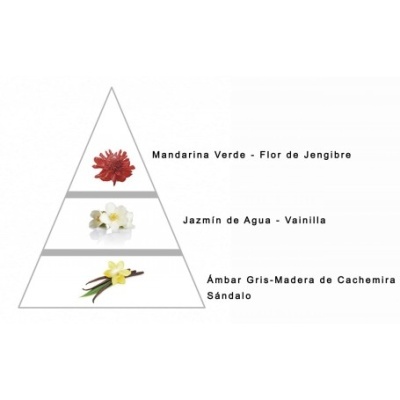 ANTINÉA Larome 82F Mulher