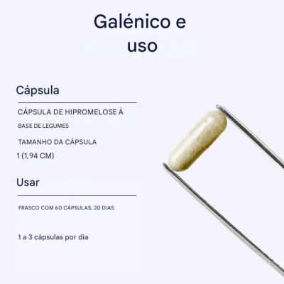 Reishi orgânico