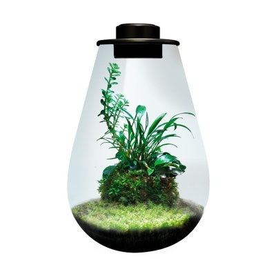 BIOART DROP - NANO TERRÁRIO