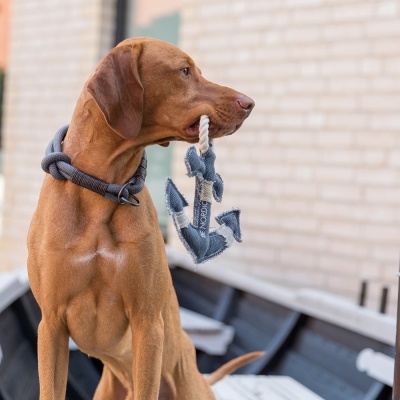 Estrangulador "BE NORDIC" - Trixie