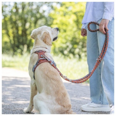 PEITORAL "PREMIUM ACTIVE"