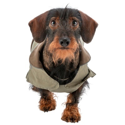 CAPA "HERMY" (ESPECIAL PARA CÃES PEQUENOS E LONGOS)