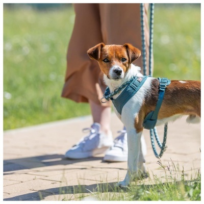 PEITORAL "PREMIUM ACTIVE"