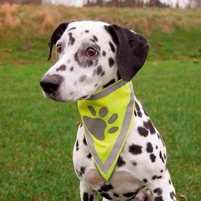 Lenço Refletor - Safer Life