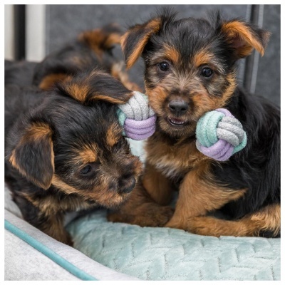 JUNIOR - APPORT EM CORDA DE ALGODÃO