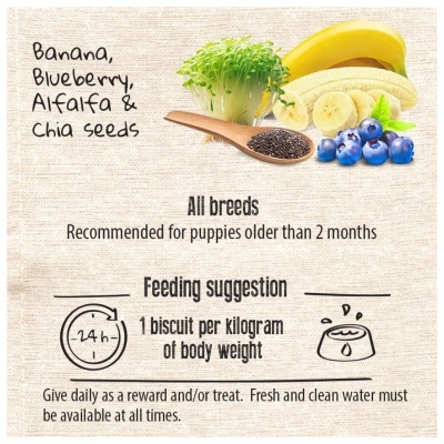 PETIT BISCUIT GRAIN FREE - PUPPY POWER