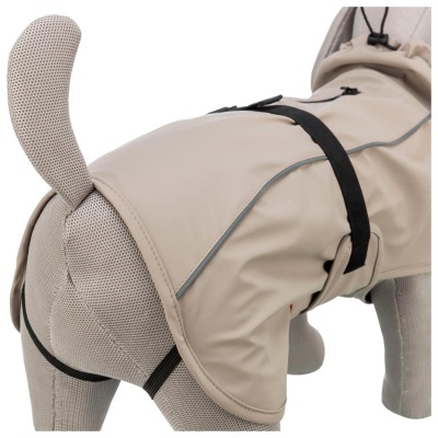 CAPA "BE NORDIC HUSUM"