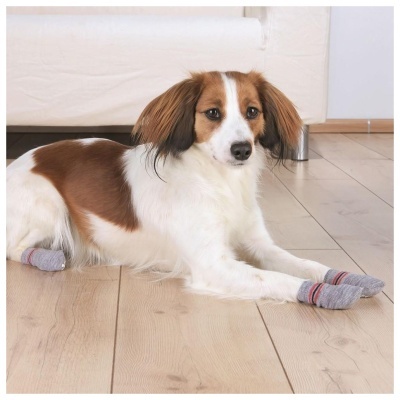 MEIAS DE PROTECÇÂO (CÃES IDOSOS) - 2 UNIDADES