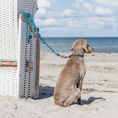 Trela Ajustável "BE NORDIC" - Trixie