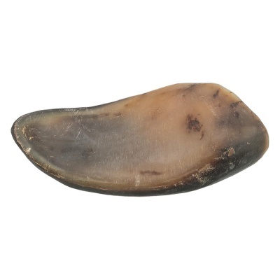 CORNO DE BÚFALO RECHEADO COM NERVO E TENDÃO DE BÚFALO