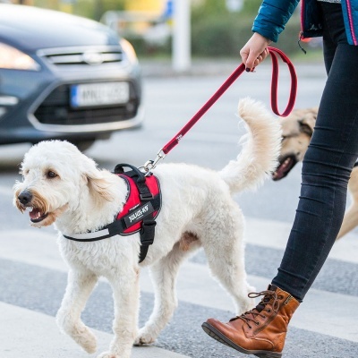 Trela "JULIUS-K9" Color & Gray Super-Grip (Vermelho)