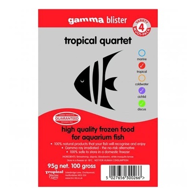 GAMMA - ALIMENTO CONGELADO