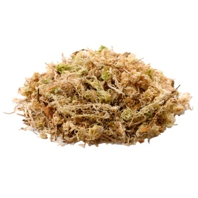 HOBBY - MUSGO "SPHAGNUM"