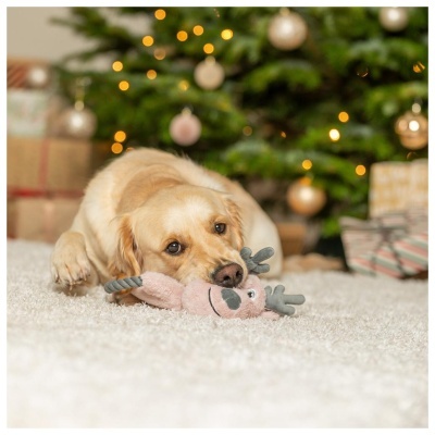 RENA EM PELÚCIA/CORDA - NATAL