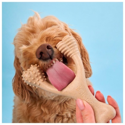 BETTERBONE - MACIO (CLASSIC)