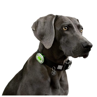 MAX & MOLLY - MATRIX ULTRA LED (SAFETY LIGHT) Verde